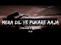 Mera Dil Ye Pukare Aaja Martab Ali Slowed And Reverb PM LOFI