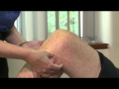 Anserine Bursa Tenderness