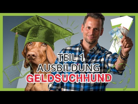 Ausbildung zum GELDSUCHHUND – Deinen Hund richtig geistig beschäftigen | Nasenarbeit | Teil 1