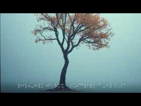 April Rain|song writer Shawki Aljadri 