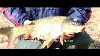 preview picture of video 'Carp Fishing in South Africa 2015'