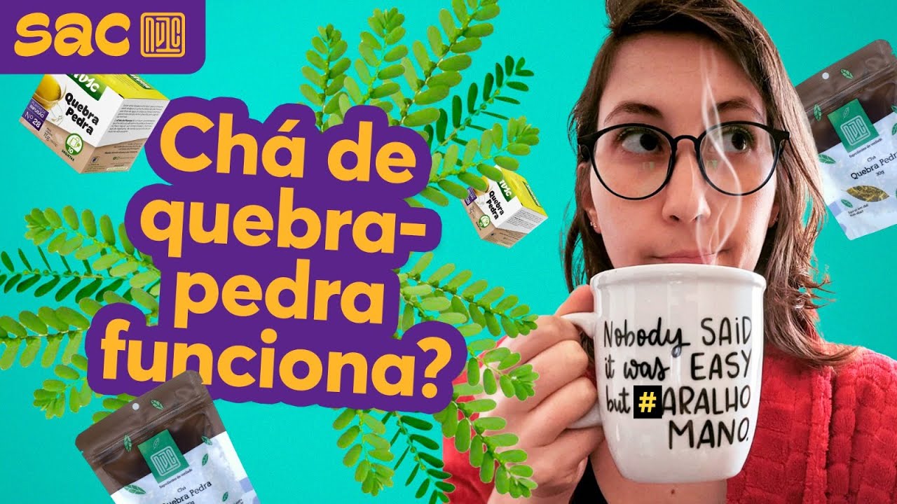 Quem tem pedra no rim precisa tomar chá de quebra-pedra?
