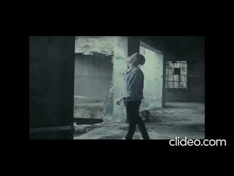 Dani, Sync - Freya | Reversed