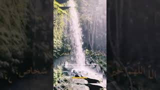 Download lagu WhatsApp status sholawat 30 seconds mp3 Download lagu WhatsApp status sholawat 30 seconds mp3