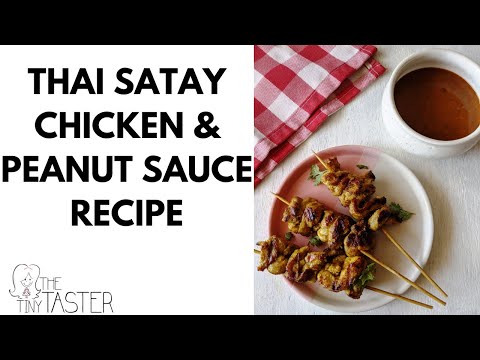 Thai Satay Chicken Recipe | How To Make Thai Satay Chicken With Peanut Sauce | Chicken Satay