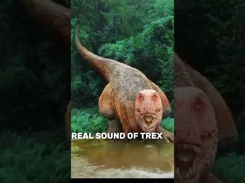 TREX REAL SOUND☠️👹 #trending #jurassicworld  #shorts