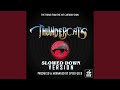 Thundercats Main Theme (From "Thundercats") (Slowed Down)