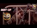 Best of CID (सीआईडी) - Did Abhijeet Shoot Daya? - Full Episode