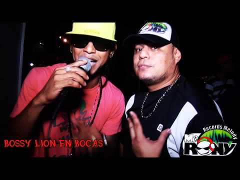 Bossy Lion en Bocas