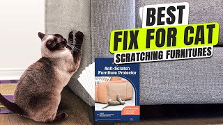 How to Stop Cats from Scratching Furniture
