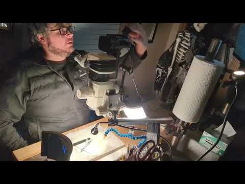 HOW TO PREP FOSSILS: AIR ABRASION, PNEUMATICS, MICROSCOPY w/ Eocene 55 MILLION YA GRF Phareodus sp.