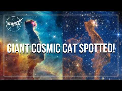 NASA Discovers Cat's Head Nebula