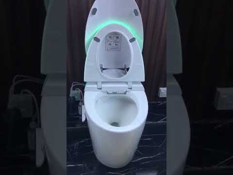 Electric Toilets
