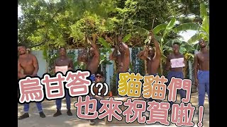 [剪輯] 櫻野露精華［雜談］瓦甘達貓貓也來幫露露