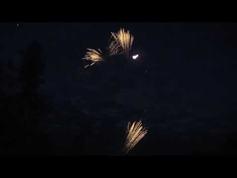 gold horse tail and colorful horse tail   49 shots UK