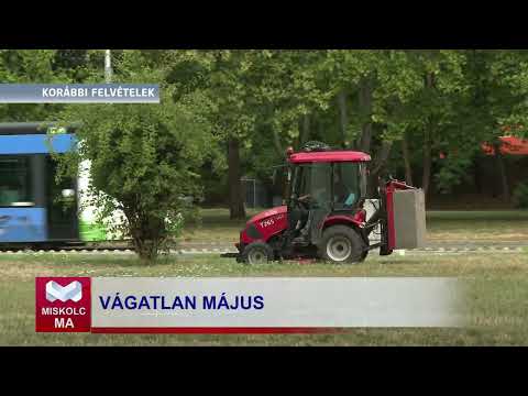 Videó előnézet