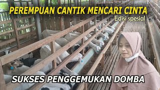 Download lagu BEAUTIFUL SHEPHERD LOOKING FOR LOVE, SUCCESSFUL SHEEP FATTENING mp3 Download lagu BEAUTIFUL SHEPHERD LOOKING FOR LOVE, SUCCESSFUL SHEEP FATTENING mp3