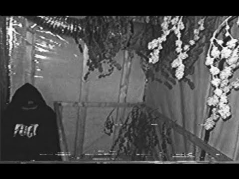 HEAVY SINS - COBRA CREEPIN