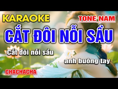 Karaoke Cắt Đôi Nỗi Sầu Tone Nam I Karaoke 2024 Hot Tiktok I Nhạc Sống Duy Cường