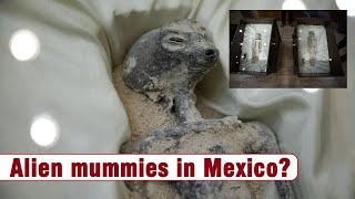 Alien mummies in Mexico? NASA's UFO study team says don't bet on it, Akara Archeology