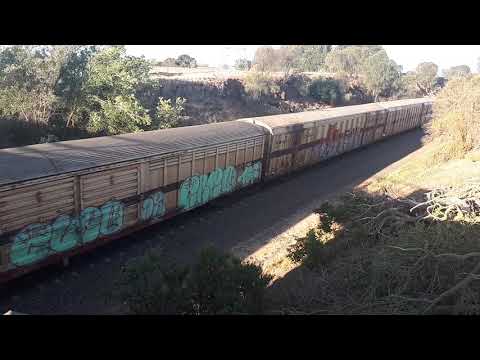 SCT at Batesford Melbourne Bound