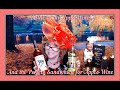 Battle Of The Apple Wines Winetasting PurpleToadWinery LeelanauCellars EtsyShop SnapElf
