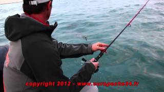 preview picture of video 'Pêche des calamars en bateau devant Sète par Europêche34'