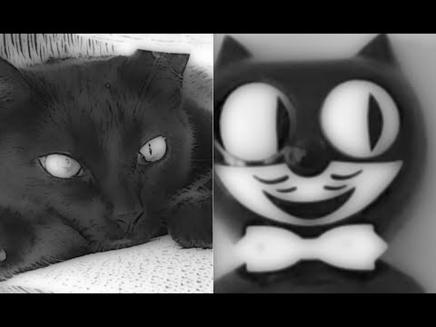 Felix the Cat Motion Clock Merges w/ Real Life Cat - TikTok - Kit Kat