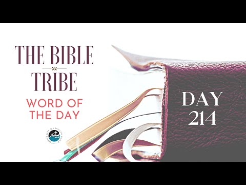 8–2–22 Day 214  How Big is Your God?( Bible Tribe Psalms 87–89)