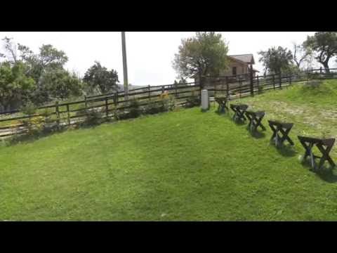 Pensiunea Pasul Caprioarei   Poiana Marului