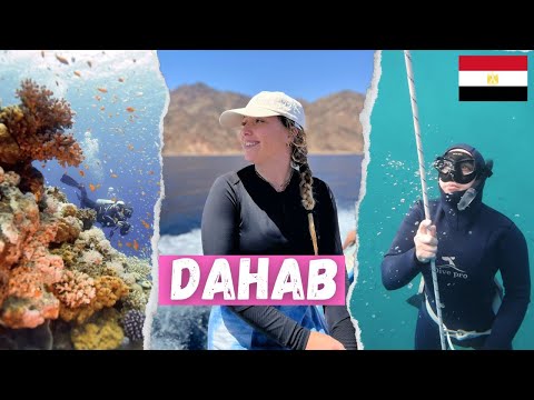 UNFORGETTABLE DAHAB! My favorite Egyptian Beach Town!! Egypt vlog 1
