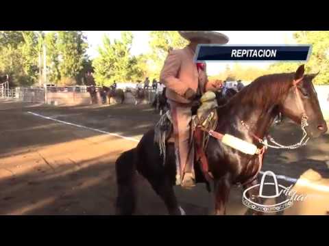 Gran Caladero de Premio de Don Meno Miranda