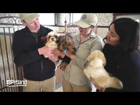 Kennel Tour 115