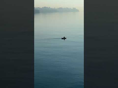 503 1005327 mp3