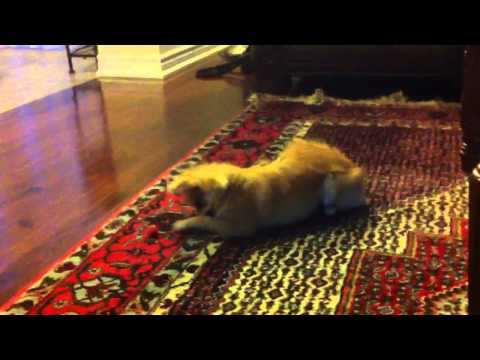 Chika and her grape!!