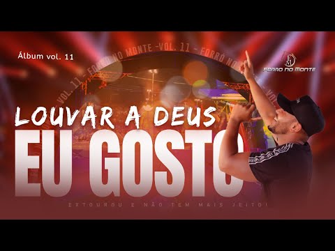 Forró No Monte vol 11 ( louvar a Deus eu gosto )