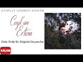 Ceyl'an Ertem - Gide Gide Bir Söğüde Dayandım [ Câhille Sohbeti Kestim © 2020 Kalan Müzik ]