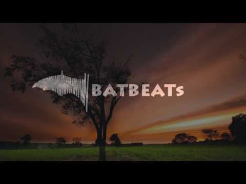 VeNTUR BRV$$ - On The Run - BatBeats