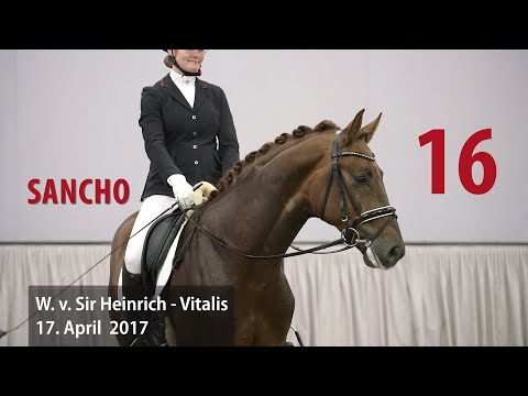 16 Sancho Wallach v. Sir Heinrich - Vitalis