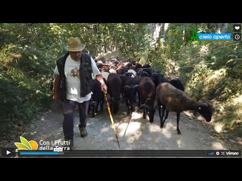 Puntata del 12/9/21 –  3° parte – Transumanza in Appennino