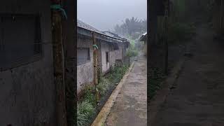 Download lagu Suasana yang kurindukan saat pulang kampung #desa #suasanahujan #videopendek mp3