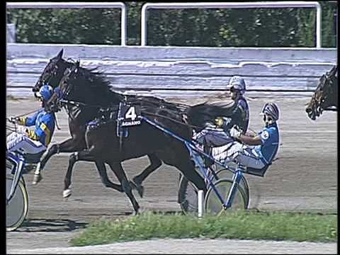 Trotto 22/05/2016 - 3° corsa