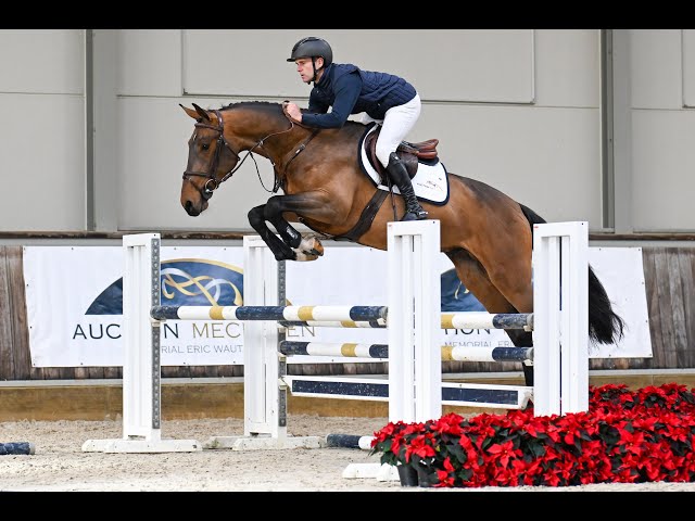 Wyatt Earp Van De Derkes Lp