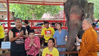 อิ่มบุญอิ่มใจ รับขวัญช้างแฝด เจ้าคุณธงชัย วัดไตรมิตรแวะเยี่ยมชมช้างแฝดอยุธยาพร้อมทำพิธีอวยพรช้างน้อย
