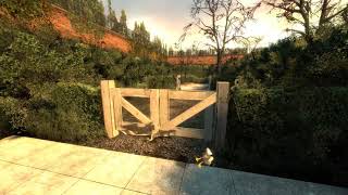 conventional seagull behavior