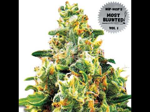 14 KRS One   I Can't Wake Up