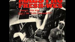 maestro fresh wes-mic mechanism (1992)