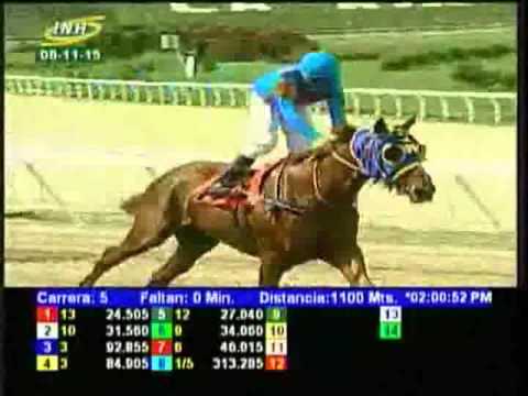 Resumen Domingo, 08 de Noviembre de 2015 - La Rinconada