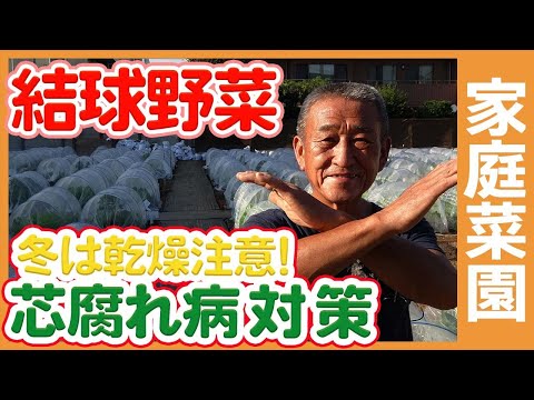 クルミには毒性があるのでしょうか？落ち葉を堆肥に入れてもいいですか？  庭園