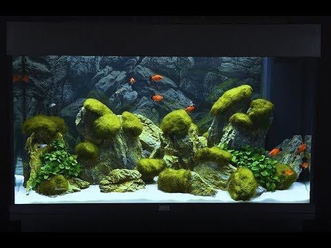 Watch Video on YouTube